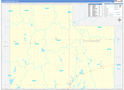 Cottonwood County, MN Wall Map Zip Code Basic Style 2024