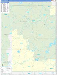 Newaygo County, MI Wall Map Zip Code Basic Style 2024