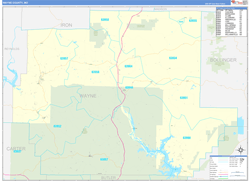 Wayne County, MO Wall Map Zip Code Basic Style 2024