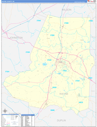 Wayne County, NC Wall Map Zip Code Basic Style 2024