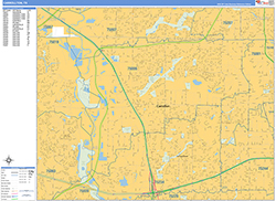 Carrollton Wall Map Basic Style 2026