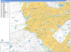 Newton Wall Map Basic Style 2026