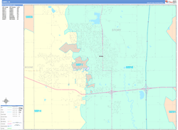 Ames Wall Map Color Cast Style 2025