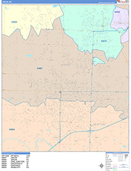 Joplin Wall Map Color Cast Style 2026