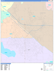 Nampa Wall Map Color Cast Style 2024