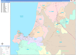 Salinas Wall Map Color Cast Style 2024