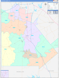 Atascosa County, TX Wall Map Color Cast Style 2024