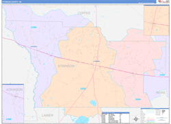 Atkinson County, GA Wall Map Color Cast Style 2024