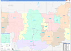 Audrain County, MO Wall Map Color Cast Style 2024