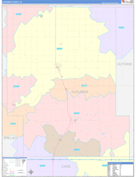 Audubon County, IA Wall Map Color Cast Style 2024