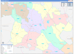 Bladen County, NC Wall Map Color Cast Style 2024