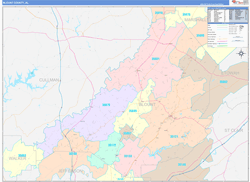Blount County, AL Wall Map Color Cast Style 2024