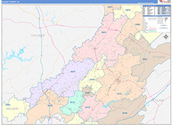 Blount County, AL Wall Map Color Cast Style 2026