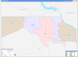 Boyd County, NE Wall Map Color Cast Style 2024