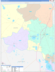 Bradford County, FL Wall Map Color Cast Style 2023