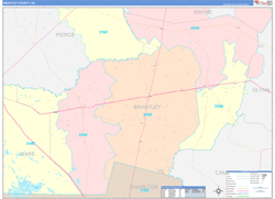 Brantley County, GA Wall Map Color Cast Style 2024