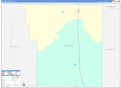 Brooks County, TX Wall Map Color Cast Style 2024