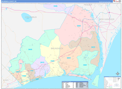 Brunswick County, NC Wall Map Color Cast Style 2024