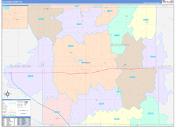 Buchanan County, IA Wall Map Color Cast Style 2024