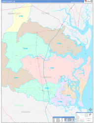 Camden County, GA Wall Map Color Cast Style 2024