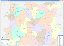 Cattaraugus County, NY Wall Map Color Cast Style 2024