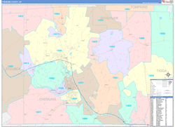 Chemung ColorCast Wall Map