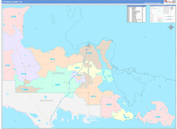 Chippewa ColorCast Wall Map