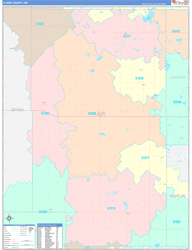 Clark County, SD Wall Map Color Cast Style 2024