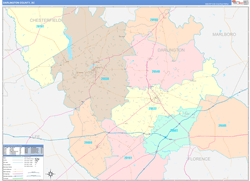 Darlington County, SC Wall Map Color Cast Style 2024