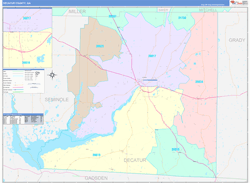 Decatur County, GA Wall Map Color Cast Style 2024