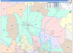 Delaware County, OH Wall Map Color Cast Style 2026
