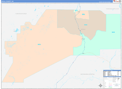 Denali Borough (County) ColorCast Wall Map