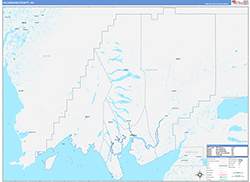 DillinghamBorough (County), AK Wall Map Color Cast Style 2026