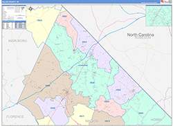 Dillon County, SC Wall Map Color Cast Style 2026