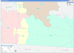 Echols County, GA Wall Map Color Cast Style 2024