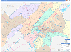 Color Cast Map Example