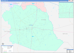 Evans County, GA Wall Map Color Cast Style 2024