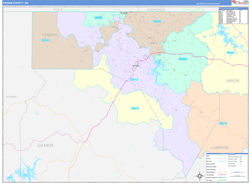 Fannin County, GA Wall Map Color Cast Style 2024