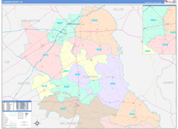 Florence County, SC Wall Map Color Cast Style 2024