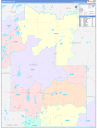 Forest County, WI Wall Map Color Cast Style 2024