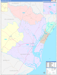 Georgetown County, SC Wall Map Color Cast Style 2024
