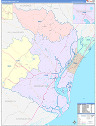 Georgetown County, SC Wall Map Color Cast Style 2026