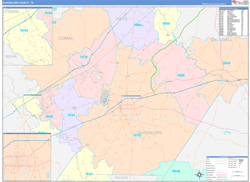 Guadalupe County, TX Wall Map Color Cast Style 2024