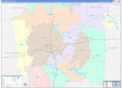 Guernsey County, OH Wall Map Color Cast Style 2024