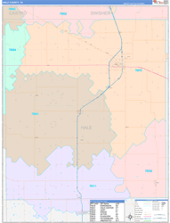 Hale County, TX Wall Map Color Cast Style 2024