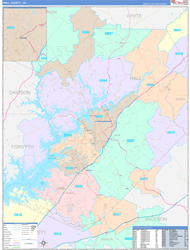 Hall County, GA Wall Map Color Cast Style 2024