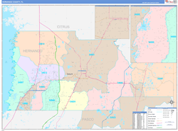 Hernando County, FL Wall Map Color Cast Style 2023