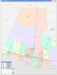 Hidalgo County, TX Wall Map Color Cast Style 2024