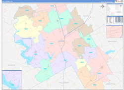 Hill County, TX Wall Map Color Cast Style 2024
