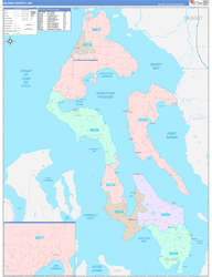 Island County, WA Wall Map Color Cast Style 2024